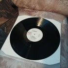 Hurriganes – Crazy Days LP (Love Records) - pikkukuva 3