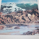 The Turtles - Turtle Soup LP 1969 - pikkukuva 2