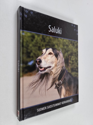 Saluki