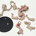 WH40K - 2kpl Tyranid Warrior (Rogue Trader) [A24] - pikkukuva 3