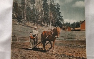 Pellervo toukokuu n:o 7 1956