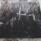 Insomnium - One for Sorrow LP - pikkukuva 4