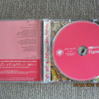 THE ROUGH GUIDE TO FLAMENCO (CD) - pikkukuva 2