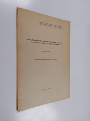 Ernst Palmen : Ein auffallender Messenflug von Phytometra...