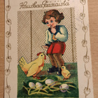 poika kanatarhassa, kultausta,  kulkenut - pikkukuva 1