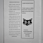 Outsider: Prinssi Lipponen ja Kenraali Korkki, Seaflower Oy - pikkukuva 4