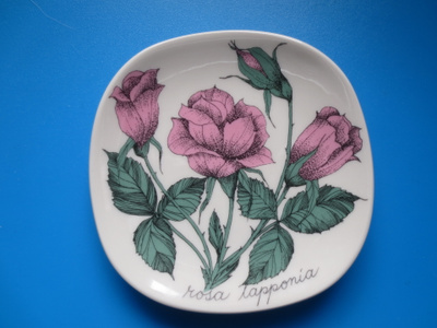 Arabia seinälautanen Rosa lapponia