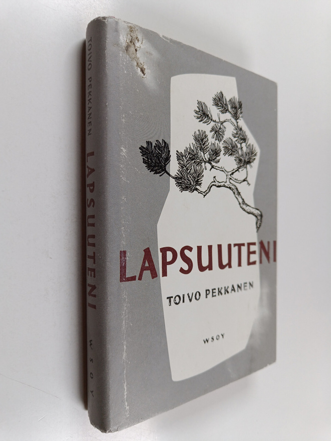 Toivo Pekkanen : Lapsuuteni
