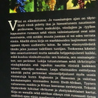 Andre Domine : Viini - täysin uudistettu laitos 2009 - pikkukuva 2