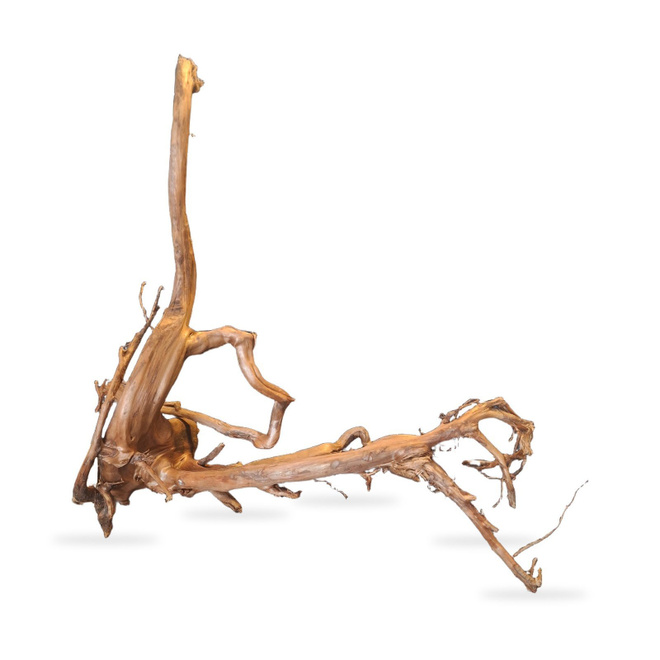 Uniikki akvaariojuurakko 70 cm | 032638