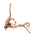 Uniikki akvaariojuurakko 70 cm | 032638 - pikkukuva 1