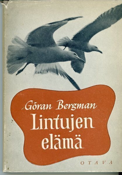 Lintujen elämä, Göran Bergman 1953