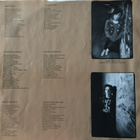 Mega City Four - Terribly Sorry Bob LP 1991 UK & EU Vinyyli - pikkukuva 4