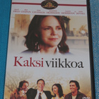 Dvd - Kaksi viikkoa - Steve Stockman -elokuva 2006 - pikkukuva 1