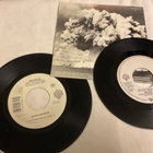 Van Halen sinkut 2 kpl  (7”) - pikkukuva 2