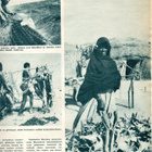 Kuluttaja n:o 15/16 1961 Uuno Takki. Mauretania. Auguste Ren - pikkukuva 3