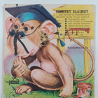 Tottelematon apina - pikkukuva 2