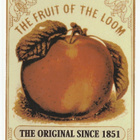 Fruit of the loom -mainospostikortteja - pikkukuva 1