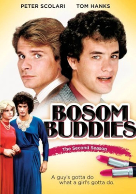 Bosom Buddies - kausi 2 (DVD)