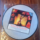 Judas Priest - Sad Wings Of Destiny lp kuvavinyyli - pikkukuva 2