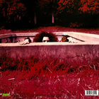 Frank Zappa - Hot Rats (Remastered 180 gram edition) - pikkukuva 3
