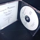 CD Seppo Plaami  : Kaariportti / Meditation ( SIS POSTIKULU - pikkukuva 3