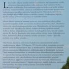 Jaana Laamanen: Maitolaiturilla - pikkukuva 2