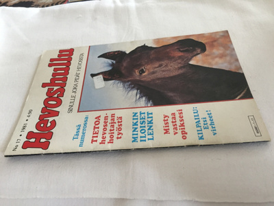 HEVOSHULLU 17/1981 HYVÄ