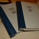 JYVÄSKYLÄN KAUPUNGIN HISTORIA 1837 - 1965, osat 1 ja 2 - pikkukuva 1