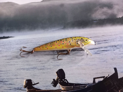 Rapala CD-9