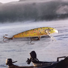 Rapala CD-9 - pikkukuva 1