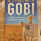 Dion Leonard - Gobi (sid.) - pikkukuva 3