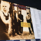 ’Til Tuesday Welcome home 1986 nm Epic lp Hype Aimee Mann - pikkukuva 3
