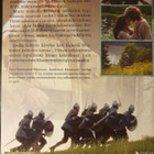 Maameren tarinat DVD - pikkukuva 4