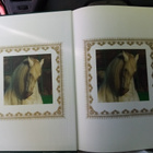 JUAN LLAMAS : THIS IS THE SPANISH HORSE ( SIS POSTIKULU ) - pikkukuva 3