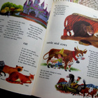 My First Dictionary in Colour Lasten kuvasanakirja - pikkukuva 3
