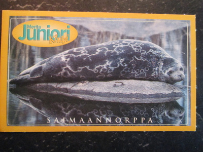 SAIMAANNORPPA TARRAN KOKO n. 9, 5 X 5,6 CM + reunat