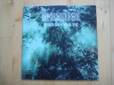 BURNPILOT - PASSIONATE  lp