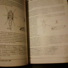 Ilmatorjuntamiehen ILMA-ASEKUVASTO ( 1 p. 1998 ) Sis.pk:t - pikkukuva 3
