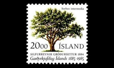 Islanti 634 ** Puutarhayhdistys 100 v (1985)
