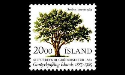 Islanti 634 ** Puutarhayhdistys 100 v (1985)