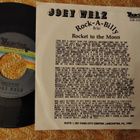 Joey Welz sinkku - pikkukuva 2