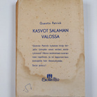 Quentin Patrick : Kasvot salaman valossa - pikkukuva 2