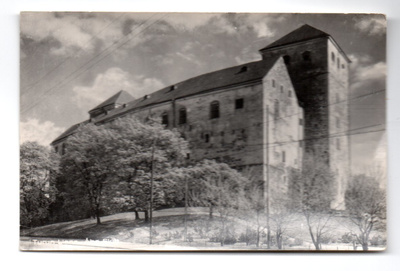 Turku: linna
