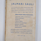 Jalmari Sauli : Ketunlukon oravapojat : seikkailuja talvi... - pikkukuva 2