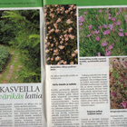 ME n:o 8 1994 Nuorten kokkien kiusaukset. Tuplabonukset. - pikkukuva 2
