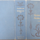 Salapoliisiseikkailuja I-X. Karisto 1907-1908. - pikkukuva 2