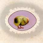 ANTIIKKIKORTTI / Pieni tipu pitsikehyksissä. 1900-l. - pikkukuva 1