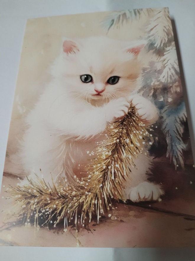 Kissa  kortti, kulkematon,vaikka kehyksiin tauluksi.