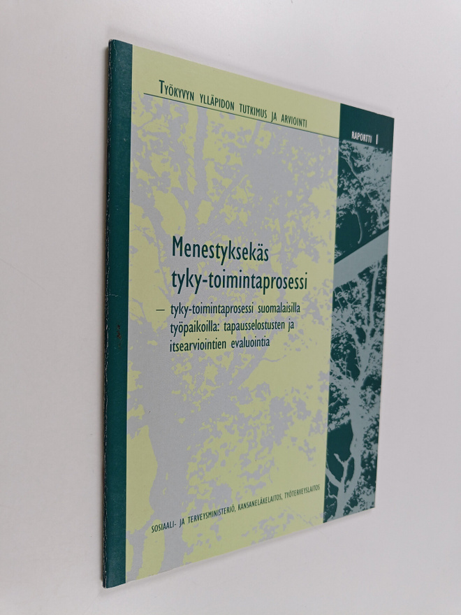 Menestyksekäs tyky-toimintaprosessi : tyky-toimintaproses...
